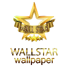 wallstarcompany