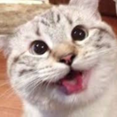 funbegot