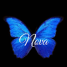 novastayl