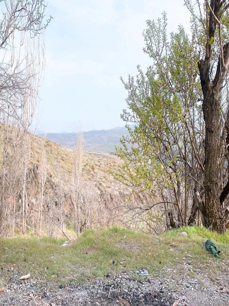 منطقه ای کوه پایه ای در دل طبیعت مملو از آرامش و سکوت بعد از هفته ای شلوغ و پر تنش ، اینجا فقط باید معنی زندگی واقعی رو پیدا کنی 