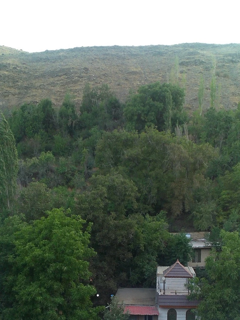 منطقه ای کوه پایه ای در دل طبیعت حس زندگی در دل طبیعت گاهی باید از همه دلبستگی های دنیا گذشت و به سادگی پیوست 