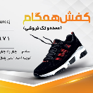 کفش همگام