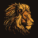 فروشگاه رضا