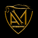 alimahmoodimeymand