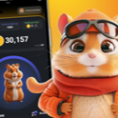 دریافت کد مورس 6 تیر همستر (امروز ششم تیر ماه)