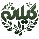 زیتون گیلان