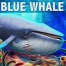 دانلود بازی نهنگ ابی (Blue Whale)