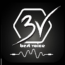 تزئینات وسیستم صوتی BEST VOICE(عباسی)