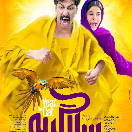فیلم سینمایی سال گربه