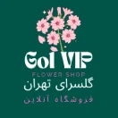 Golvip