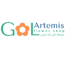 GolArtemis