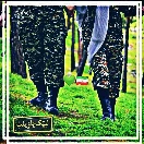 Khadem