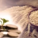 پویش زکات واجب 