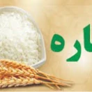 پویش کفاره غیر عمد