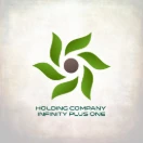 هلدینگ ipo