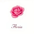 flor_life_