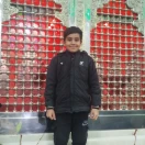Amir ali arefian
