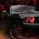 PHOENIX_780