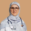 Dr Shahsanam Gheibi