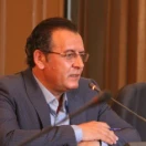 dmazizi