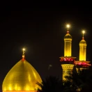 saeedjhn