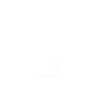 تک لینک – فراتر از یک لینک بیو اینستاگرام