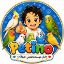 petino