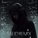 SaeidRemix