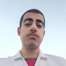 mohammadaminrohani1384