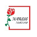 Narsis